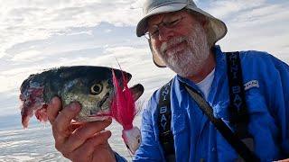 Seal Attack Epic Jig Fishing Action + Trophy Catch and a Submarine