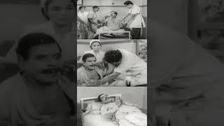 Lady Doctor Movie Shorts  ലേഡി ഡോക്ടർ  Madhu & Sheela  Malayalam Evergreen Superhit Movie