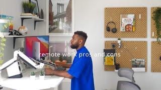 remote software engineer pros & cons vlog 02