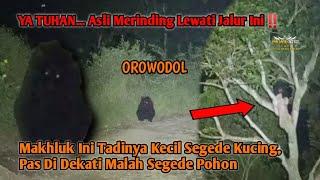 Cepat Lari Selamatkan Diri Kalian Jika Menemukan Makhluk Seperti Ini Di Jalan Yang Sepi OROWODOL