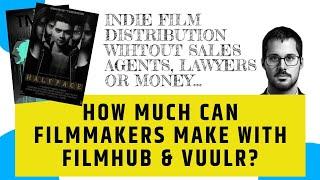 Easy Low-Budget Film Distribution Options Filmhub x Vuulr  One Year Data Breakdown