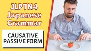 JLPT N4 Japanese Grammar Lesson How to Use Causative Passive Form in Japanese 日本語能力試験 文法