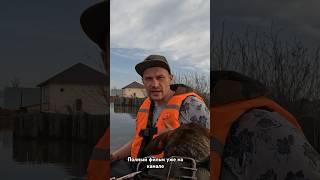 Отрывок из фильма про спасение собак в Оренбурге