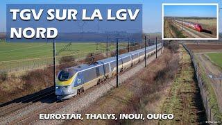 LGV Nord - TGV Inoui Thalys Eurostar Ouigo à 300kmh 