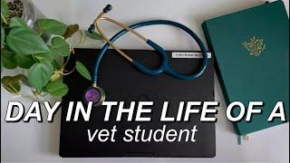 VET SCHOOL VLOG  day in the life of a 3rd year vet student