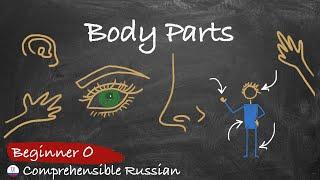 Body Parts Zero Beginner - Comprehensible Russian