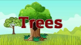 Trees for Kids  Learn Parts of a Tree for Kids  Tree and their Parts for Kids  Preschool Videos