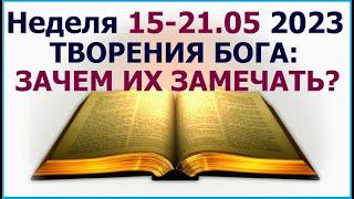 Неделя 15 - 21 мая 2023 г. о том как заметить творения Бога. Свидетели Иеговы