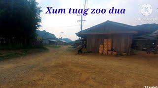 Xum tuag zoo dua 14-5-2024