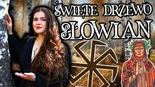 BRZOZA - MAGICZNE WŁAŚCIWOŚCI ŚWIĘTEGO DRZEWA SŁOWIAN WYKORZYSTAJ JEGO MOC W SWOIM ŻYCIU