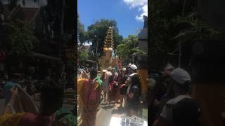 Kota Wisata Terbaik ke 4 Di dunia Ubud Bali #short #bali