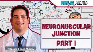 Musculoskeletal System  Neuromuscular Junction  Neuromuscular Transmission Part 1