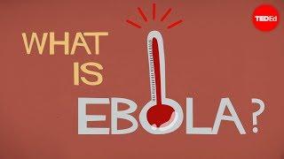 What we know and dont know about Ebola - Alex Gendler