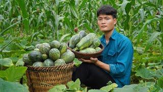 Harvest pumpkins and bring them to the market to sell Cooking on the farm