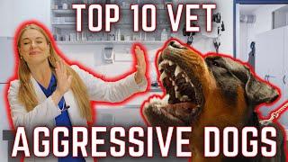 Aggressive dog breeds at the VET  Dr. Lindsay Butzers List