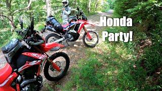 CRF250L and CRF300L Rally Riding Cherokee National Forest Trans America Trail Part 1