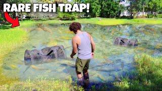 My Best FISH TRAP EVER