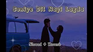 Soniye Dil Nayi Lagda Tere Bina - Slowed + Reverb Baaghi 2 song  Ankit Tiwari