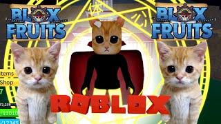 LIVE YOK KITA AMBIL TITLE RAHASIA DI BLOX FRUIT - Roblox