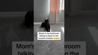 Mom Bane & the karoke machine #raisingbane #funnydogs #funnydogvideos #canecorso #karoke #vocaldogs