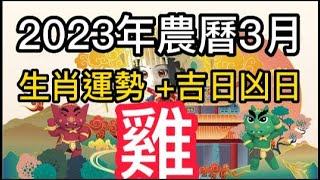 【古柏論命每月運勢 + 吉日凶日】2023年農曆三月陽曆420  518生肖運勢分享 -  雞