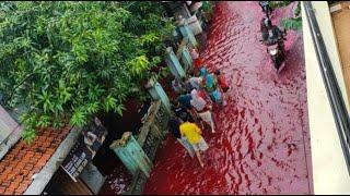 Endonezyada sel atık boya ile karıştı sokaklar kırmızıya büründü