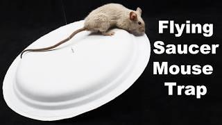 The Flying Saucer Mouse Trap. A Hilarious DIY Paper Plate Trap That Works. Mousetrap Monday