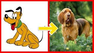 How Dog Cartoon Looks Characters New In Real Life 2024