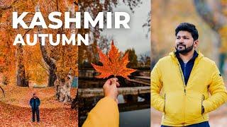 KASHMIR in AUTUMN  Itinerary Stay & Expenses  Srinagar  Sunny Gala