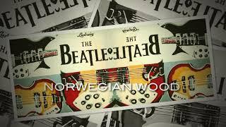NORWEGIAN WOOD  The Beatles cover