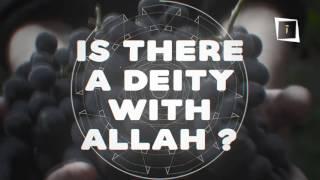 Is There A Deity with Allah? Allah Answers