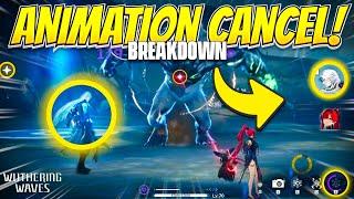 COMPLETE animation cancel GUIDE and Break Down DETAILED