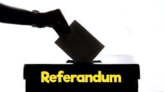 Referandum Nedir? Plebisit Halk Oylaması
