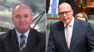 ‘Solid performance’ Barnaby Joyce hails Peter Dutton’s ‘brave’ budget reply