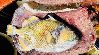 Incredible Big Pothu Para  Fish Cutting By Expert Fish Cutter  Fish Cutting Skills