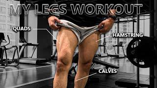 My LEG Workout Quads Hamstring & Calves 2022  PushPullLegs series