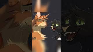 They are together again  Warrior Cats Animatic  #shorts