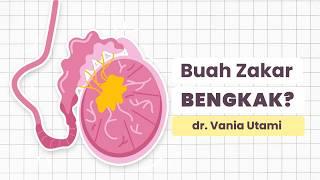 Kanker Testis - 5 Kelompok Orang yang Berisiko  dr. Vania Utami