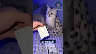 Gato que ladra tiene PlayStation 5 #viral #doblaje #shortvideos #fandub #shorts #gatos #lindo #risas