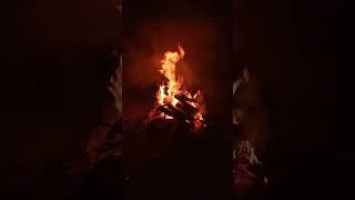 Ночной костёр #nature #fire #forest #костёр #ночь #лес #рыбалка #night