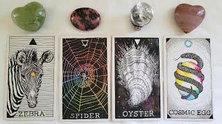 How Does Your Crush Feel About You?  Their Secret Thoughts & Feelings PICK A CARD Timeless Tarot