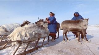 Энцы. Носители редчайшего языка  Редкие люди  Моя Планета