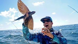 Catching Fish that can Fly