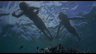 The Blue Lagoon 1980 - 3 - Surviving and Adapting
