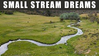 Snowy Mountains Small River Fly Fishing