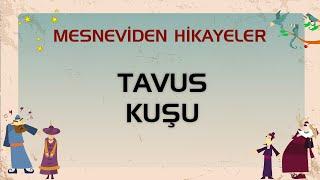 Tavus Kuşu - Mesneviden Hikayeler - Çizgi Film #çizgifilm #mesnevi