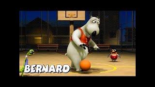 Bernard Bear  Basketball Playoffs   AND MORE  Cartoons for Children  Full Episodes