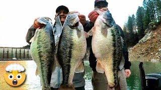 How Cody Meyer catches MAGNUM spotted bass