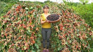 Harvesting Sour Strawberry Goes To Market Sell Make Strawberry Syrup  Free Bushcraft