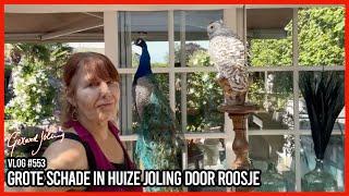 GROTE SCHADE IN HUIZE JOLING DOOR ROOSJE - GERARD JOLING - VLOG #553